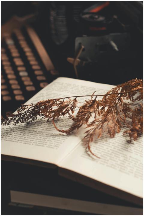 Vintage style photo of open book with dry leaves a