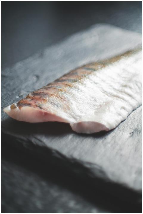 Close-up of a fresh salmon fillet placed on a dark