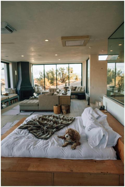 A contemporary Joshua Tree bedroom with plush bedd