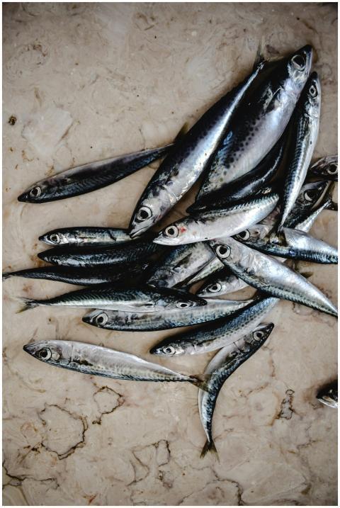 Close-up of fresh sardines laid out on a marble te