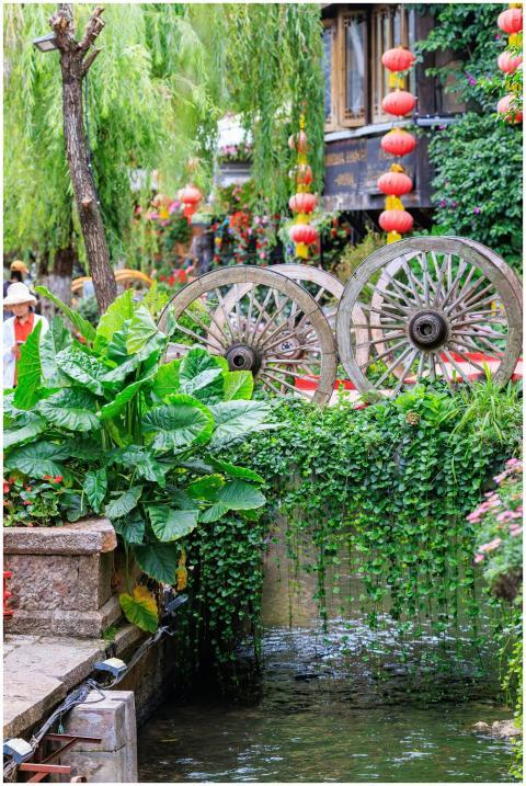 A tranquil garden with vintage wheels and vibrant