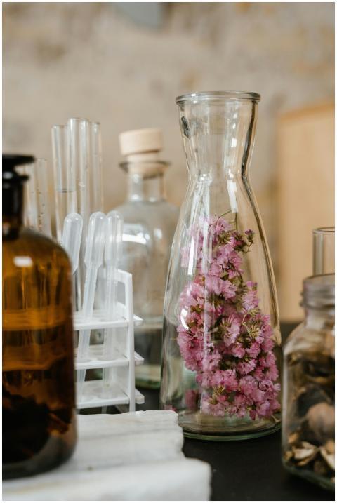 Glass bottles and test tubes with pink flowers, sy