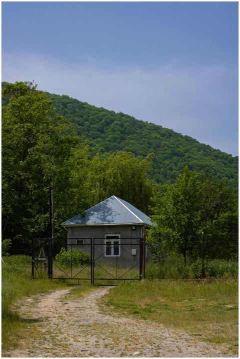 Cozy cottage in a serene rural landscape with gree