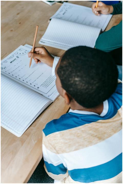 From above concentrated African American pupils si
