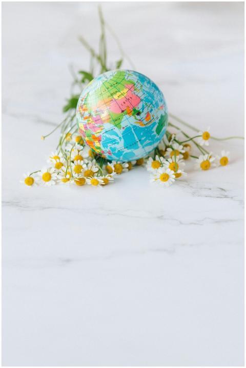 A vibrant globe surrounded by chamomile flowers on