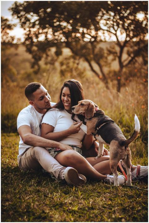 A joyful couple sitting in a sunny field, embraced