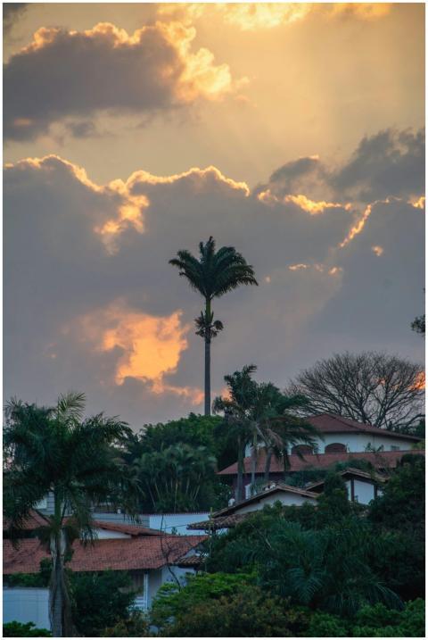 Beautiful sunset over vibrant tropical landscape i