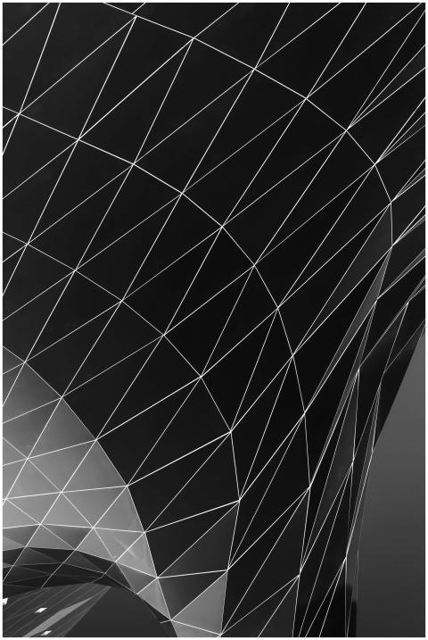Black and white geometric pattern with intersectin