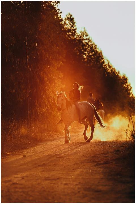 Captivating shot of a woman horseback riding on a