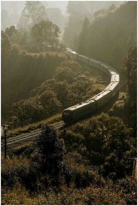 A serene view of a train winding through the lush,