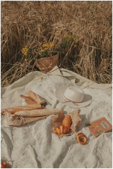 A rustic picnic in a wheat field featuring baguett