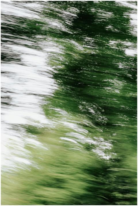 Dynamic blurred motion of green foliage creates an