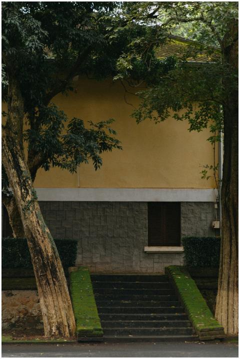 A quaint urban building facade with surrounding tr