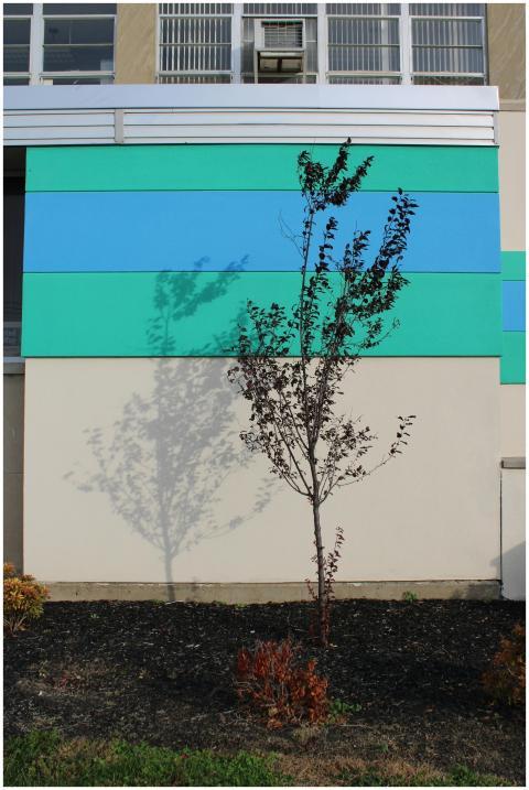 Free stock photo of beige background, light blue,