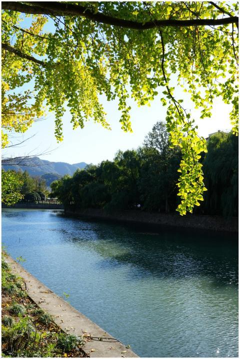 Serene river scene with vibrant autumn foliage und