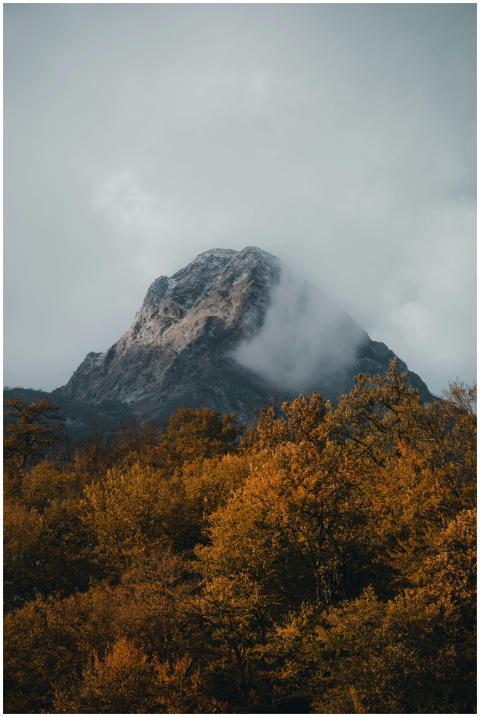 Serene autumn forest with misty mountain peak, off