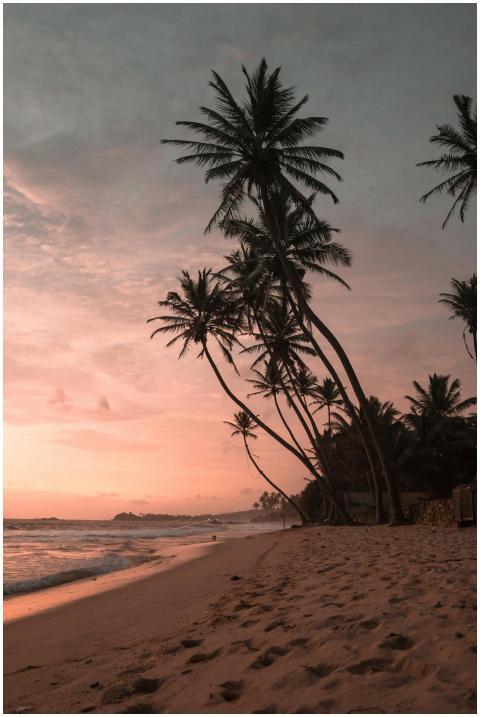 Experience the tranquil beauty of a sunset on the