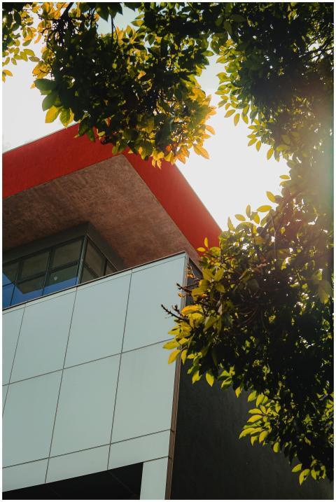 A modern architectural facade with tree branches a