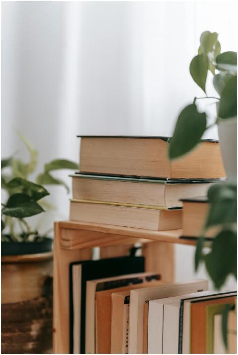 A cozy arrangement of books on a wooden shelf surr