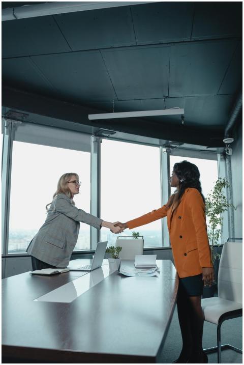 Two businesswomen shake hands across a conference