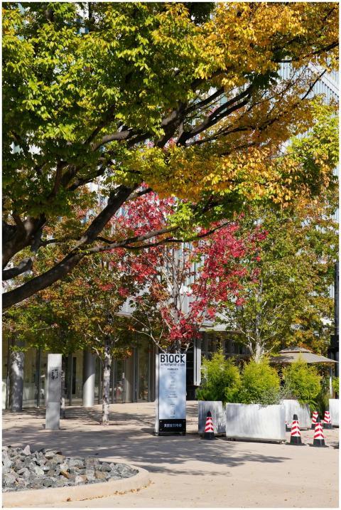 Beautiful autumn scene in a bustling city with vib