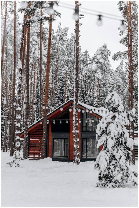 Cozy red cabin surrounded by snowy trees in a sere