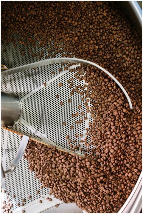 Coffee beans being roasted in an industrial steel