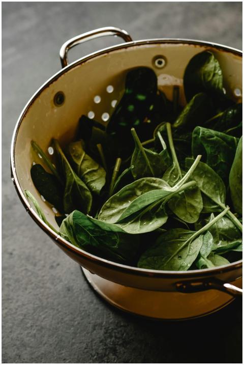 A colander filled with fresh, washed organic spina