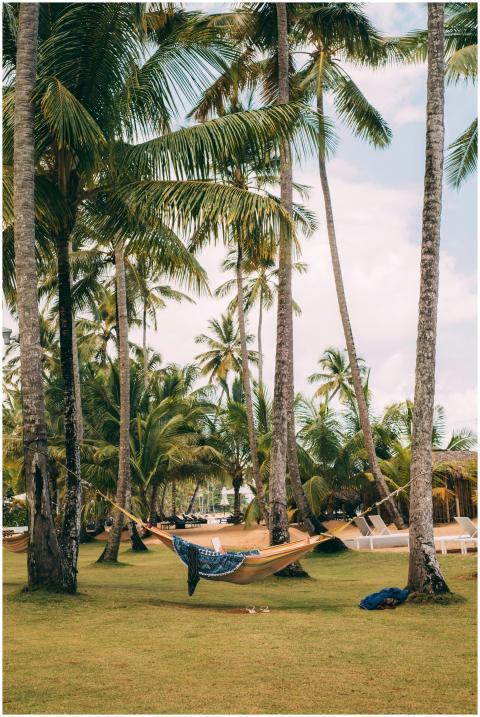 Relax in a hammock under palm trees on a tropical