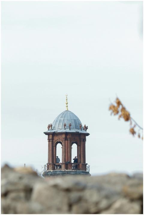 Elegant historic tower with ornate dome stands out