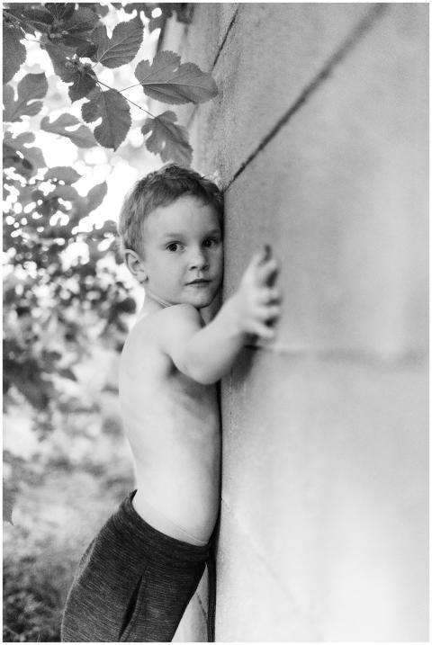 Free stock photo of boy, child, little boy