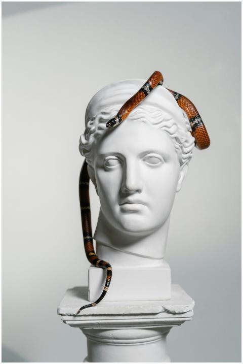 White bust sculpture adorned with a vividly colore