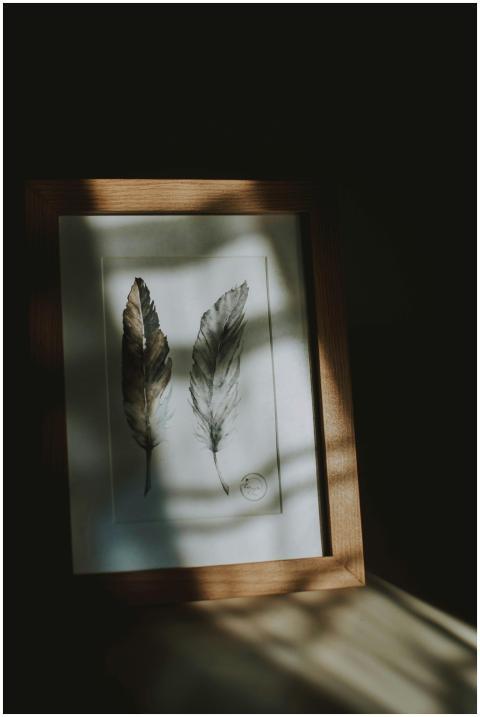 A beautiful watercolor feather illustration in a w