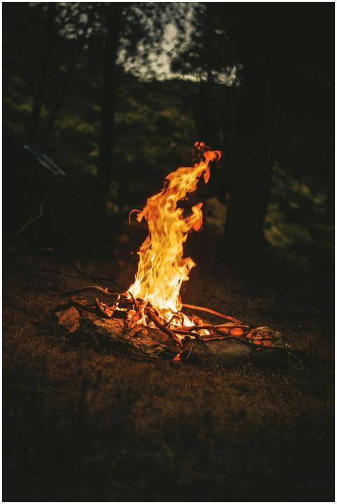 A warm campfire illuminating the night forest, per