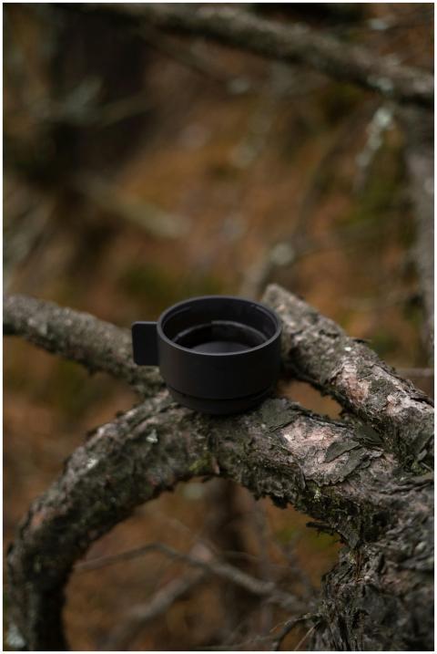 A black cup rests on a tree branch, captured in a