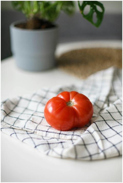 Vibrant tomato on a checkered cloth with a plant i