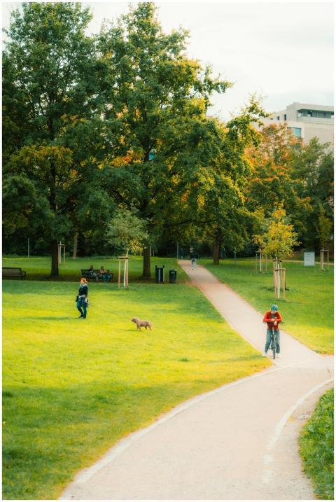 Free stock photo of autumn park