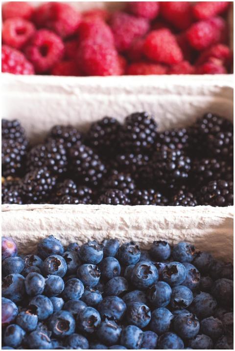 Close-up of fresh blueberries, blackberries, and r