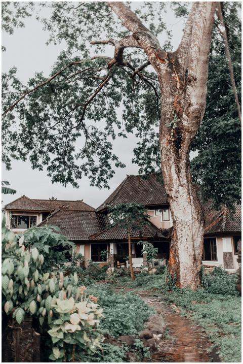 A rustic countryside house surrounded by lush gree