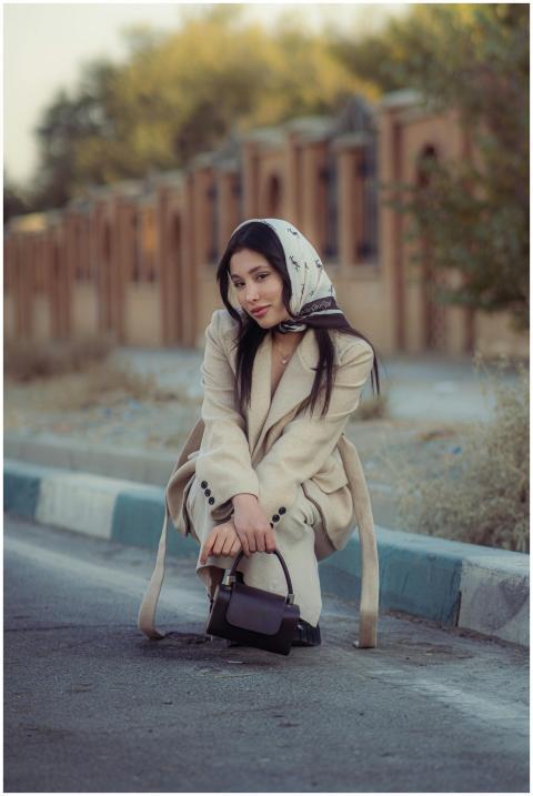 Stylish Woman Tehran S