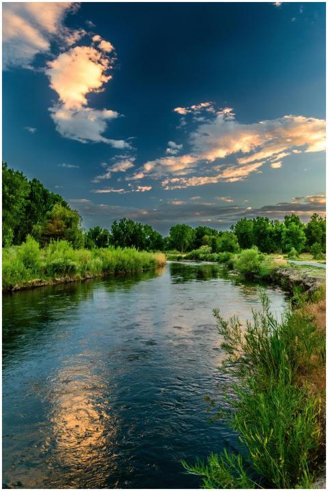 Peaceful river landscape with lush greenery and a