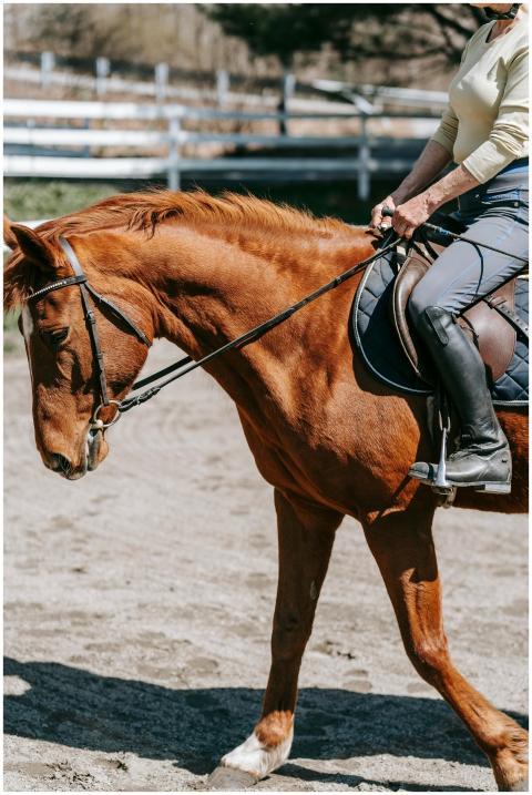 Adult woman riding a chestnut horse in an outdoor