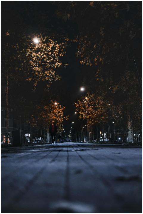 Low angle shot of a dimly lit street with autumn t