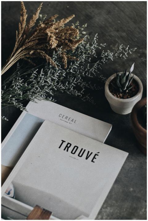 Minimalist flat lay featuring books and potted pla