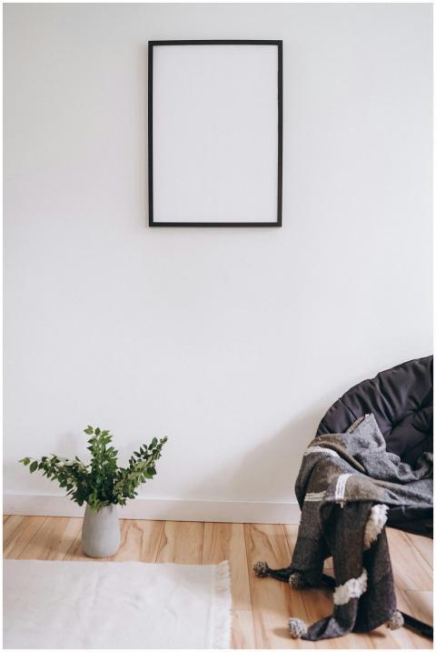 A simple, modern room with a blank frame, plant, a