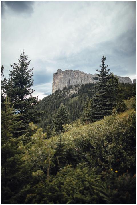 Breathtaking landscape of Mount Yamnuska surrounde