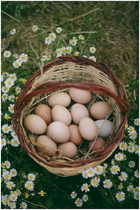 Top view of a basket filled with organic eggs in a