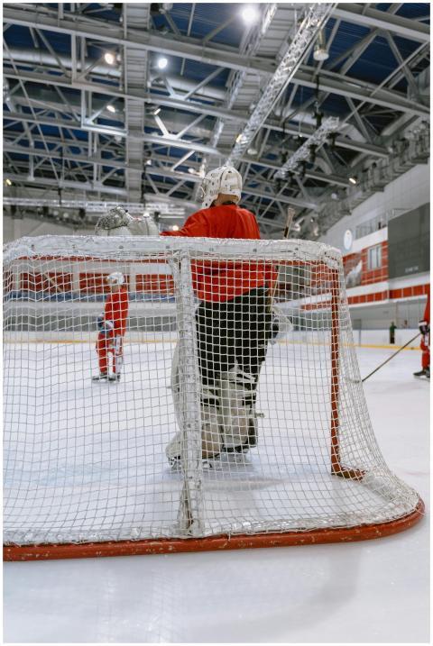 Ice hockey goalie standing behind the net, ready t