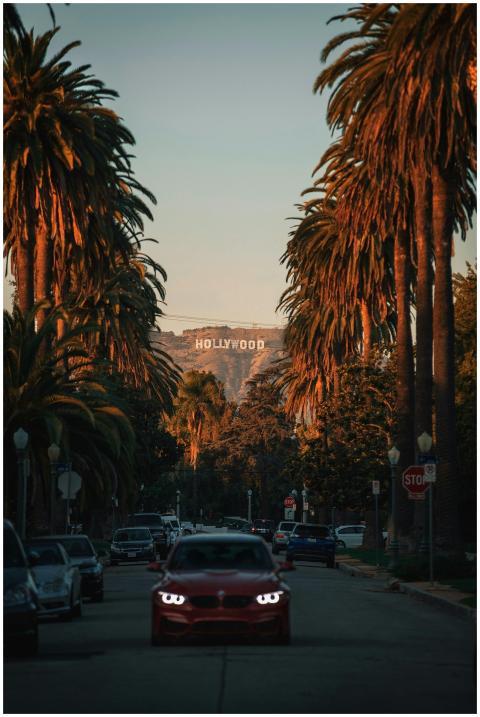 Iconic Hollywood Sign seen through palm-lined Los