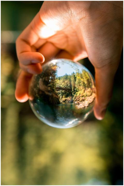 A hand holds a crystal ball reflecting a forest sc